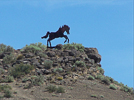 Wild Horse Overlook 3