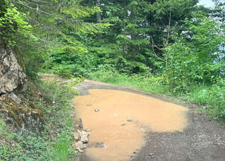 Forest road is not maintained. Bring your pruning saw and wading boots.