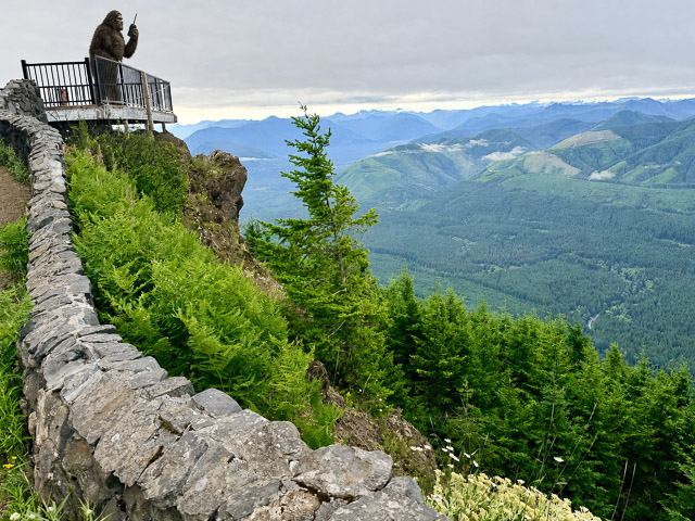 View of the lookout platform above the Sol Duc valley.