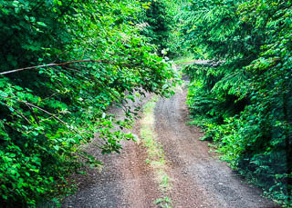 Forest road is not maintained. Bring your pruning saw and wading boots.