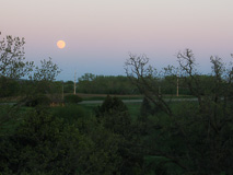 Moon setting over the golf course